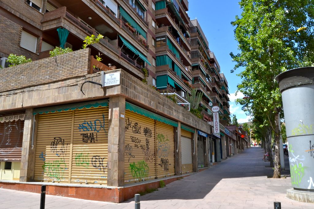 This is the picture of a place where we have some buildings to which there are some windows, green...