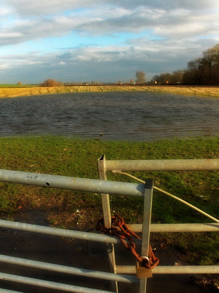 In this picture there is grassland and a boundary at the bottom side of the image and there is...