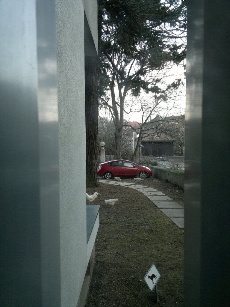 In the picture there is a house and in front of the house there is a big tree,beside the tree there...