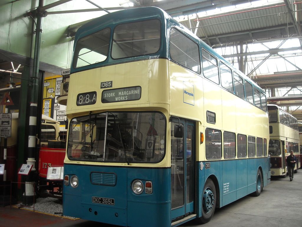 In this picture, we see double decker buses which are in cream and blue color are parked under the...