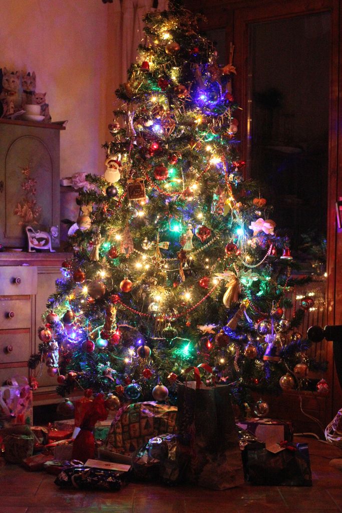 In this image there is a Christmas tree which is decorated with few lights and decorative items on...