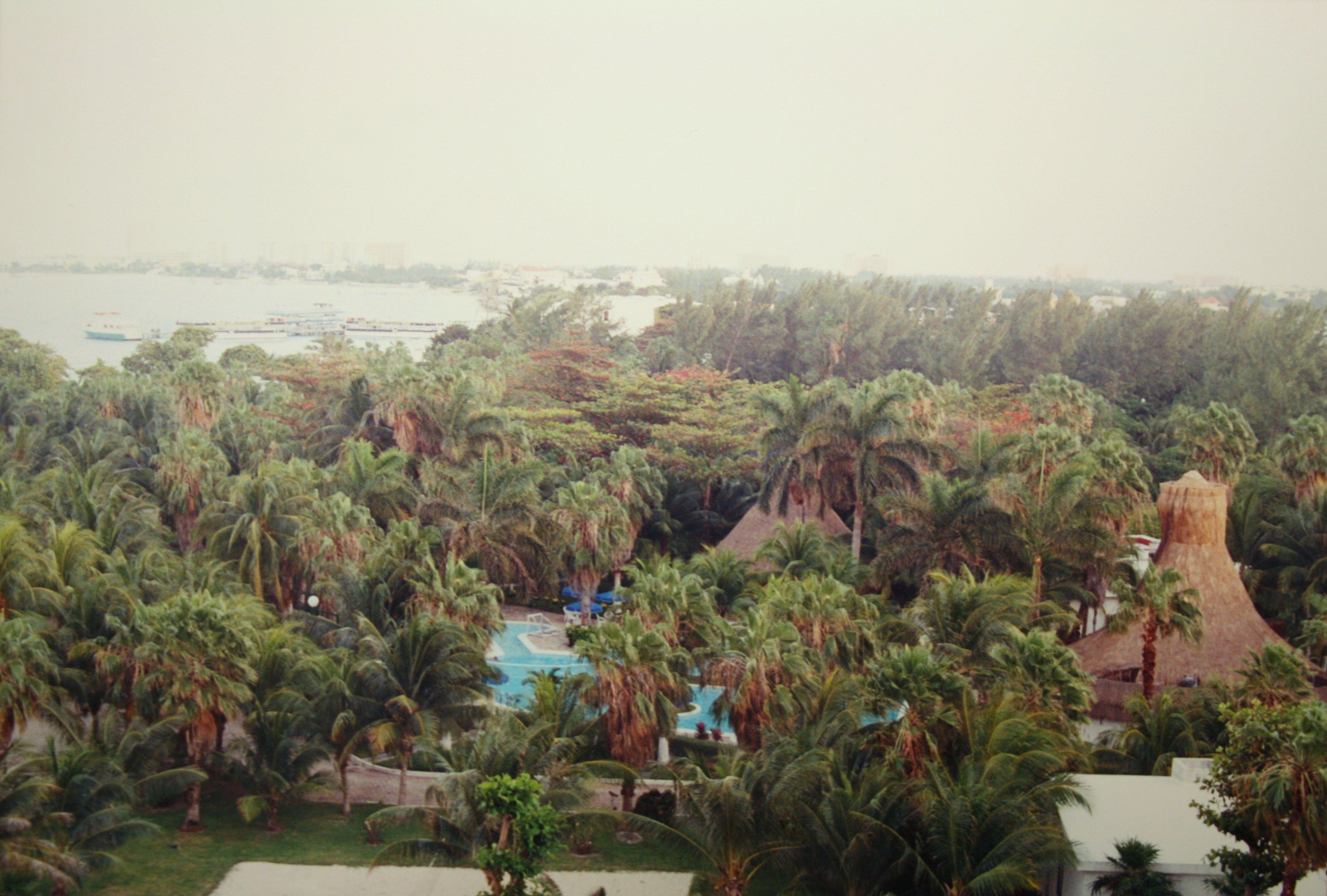 The image shows a view of a resort from the top of a hill, with a number of palm trees in the...