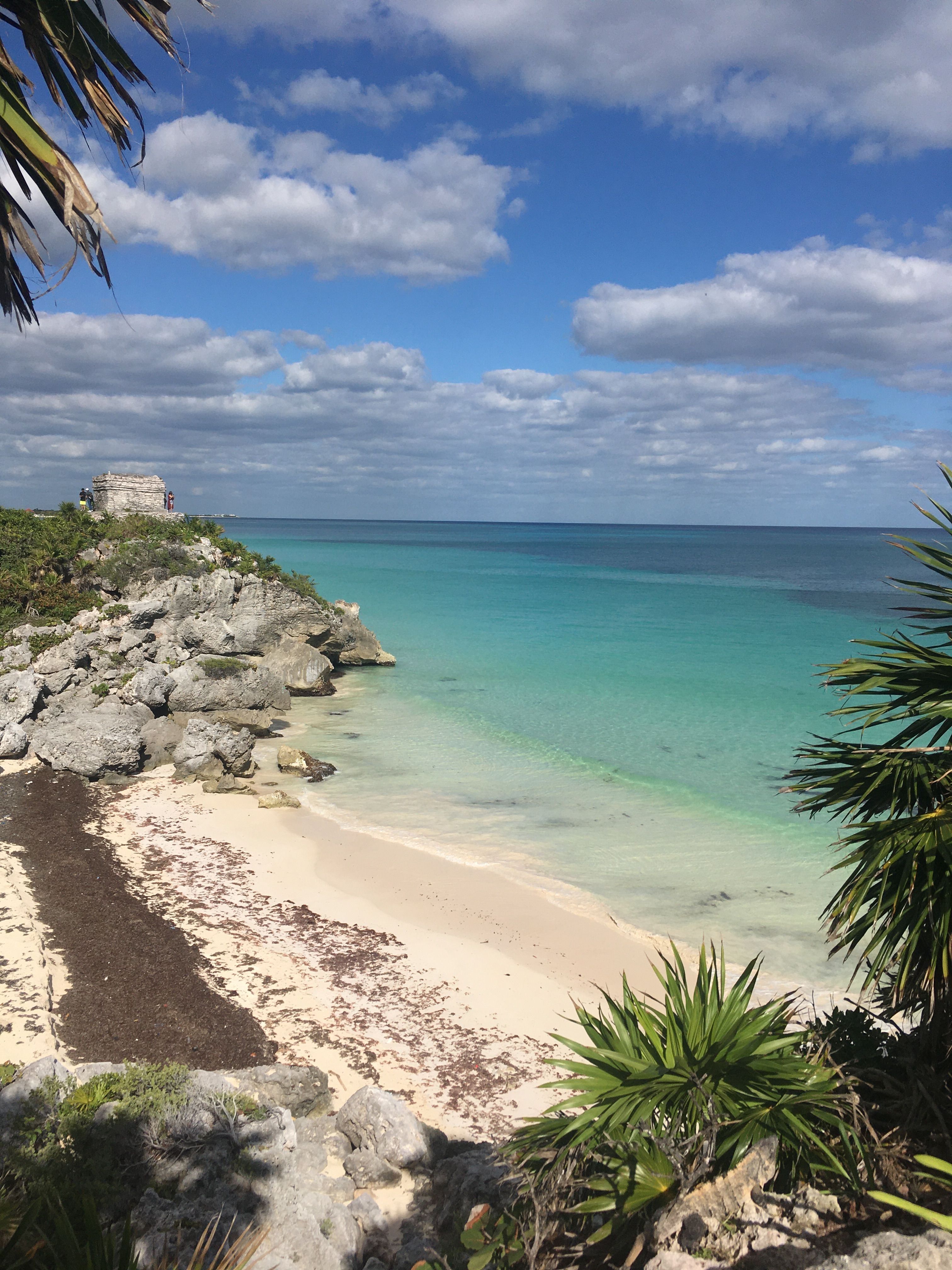 The image shows a stunning view of the beach from the top of a hill, with lush green trees, crystal...
