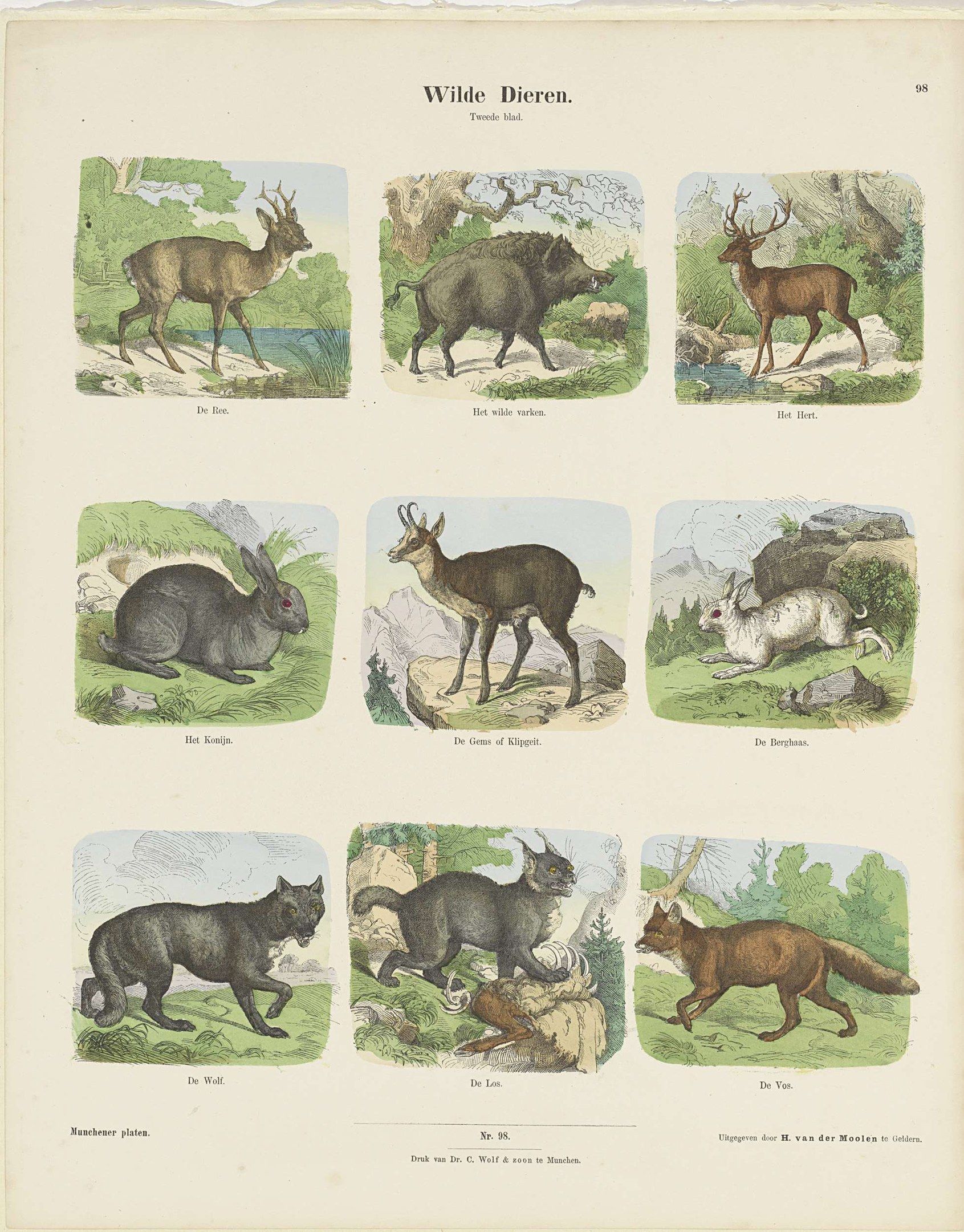 The image shows a book with a variety of wild animals on it, including a deer, rabbit, and other...