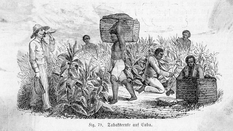 The image shows a black and white drawing of a group of people working in a field, with some of...