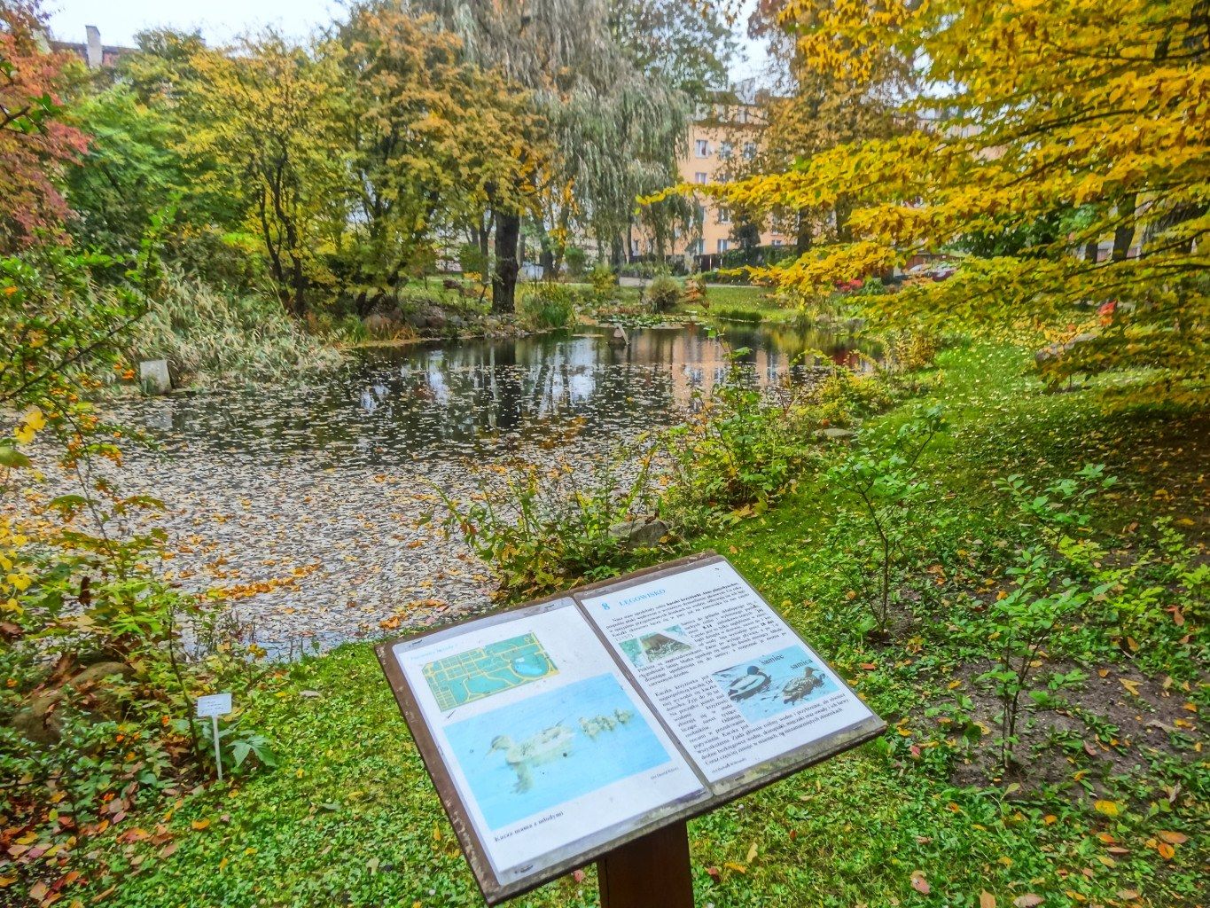 The image shows a sign in the middle of a park next to a pond surrounded by trees, plants, grass,...