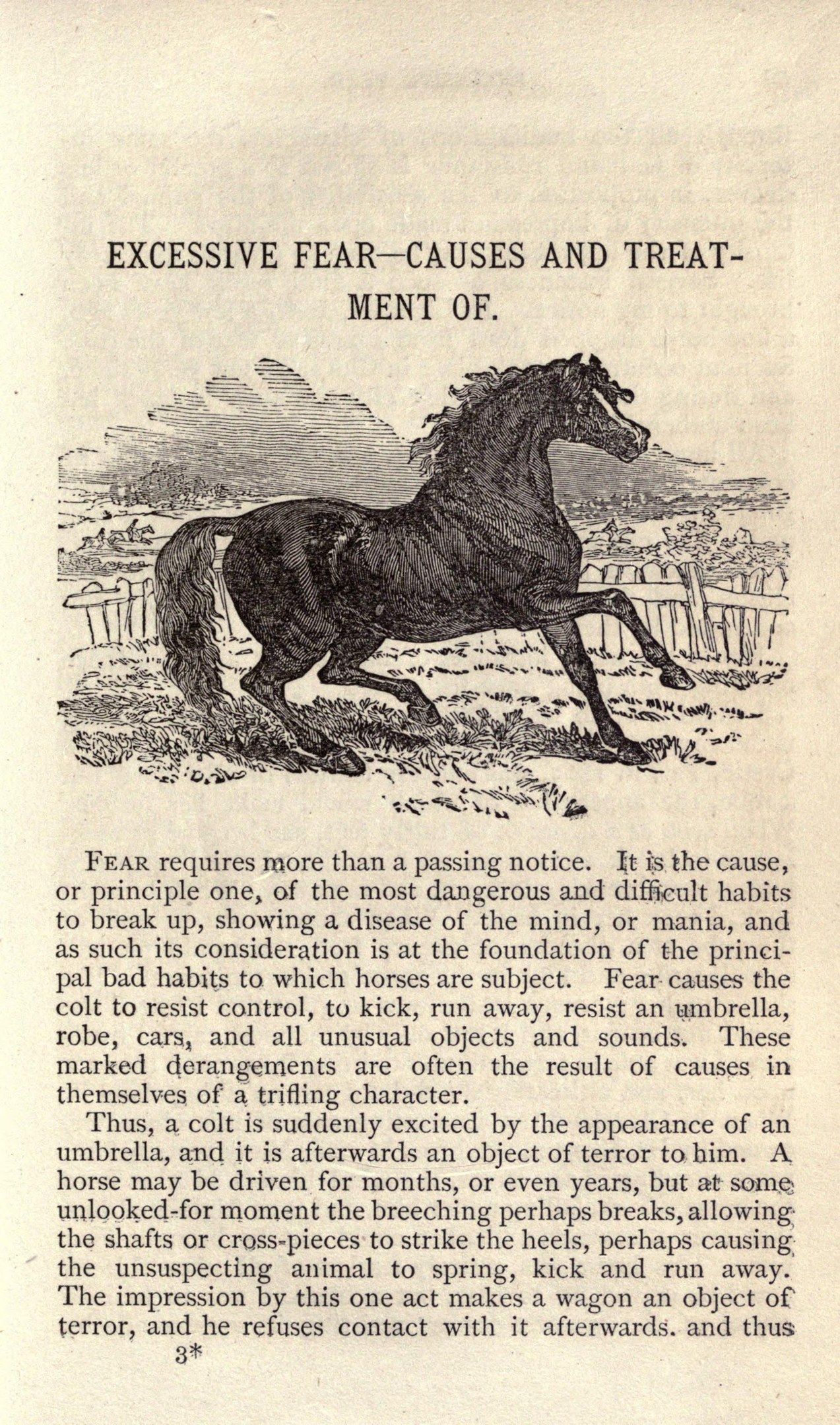 The image shows an old book with a drawing of a horse on it. The horse is depicted in a galloping...