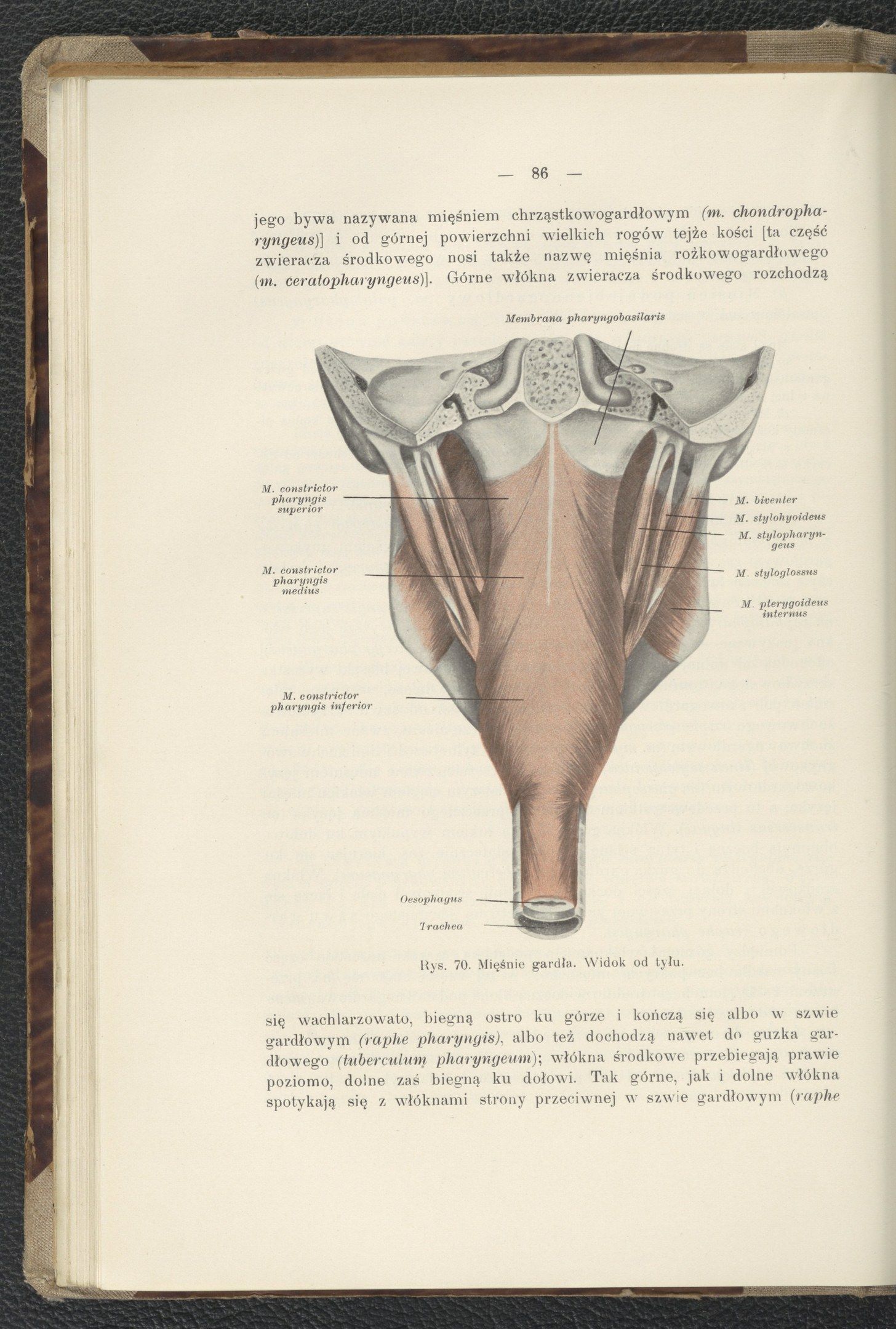 The image shows an open book with a diagram of the female reproductive system on it. The diagram is...