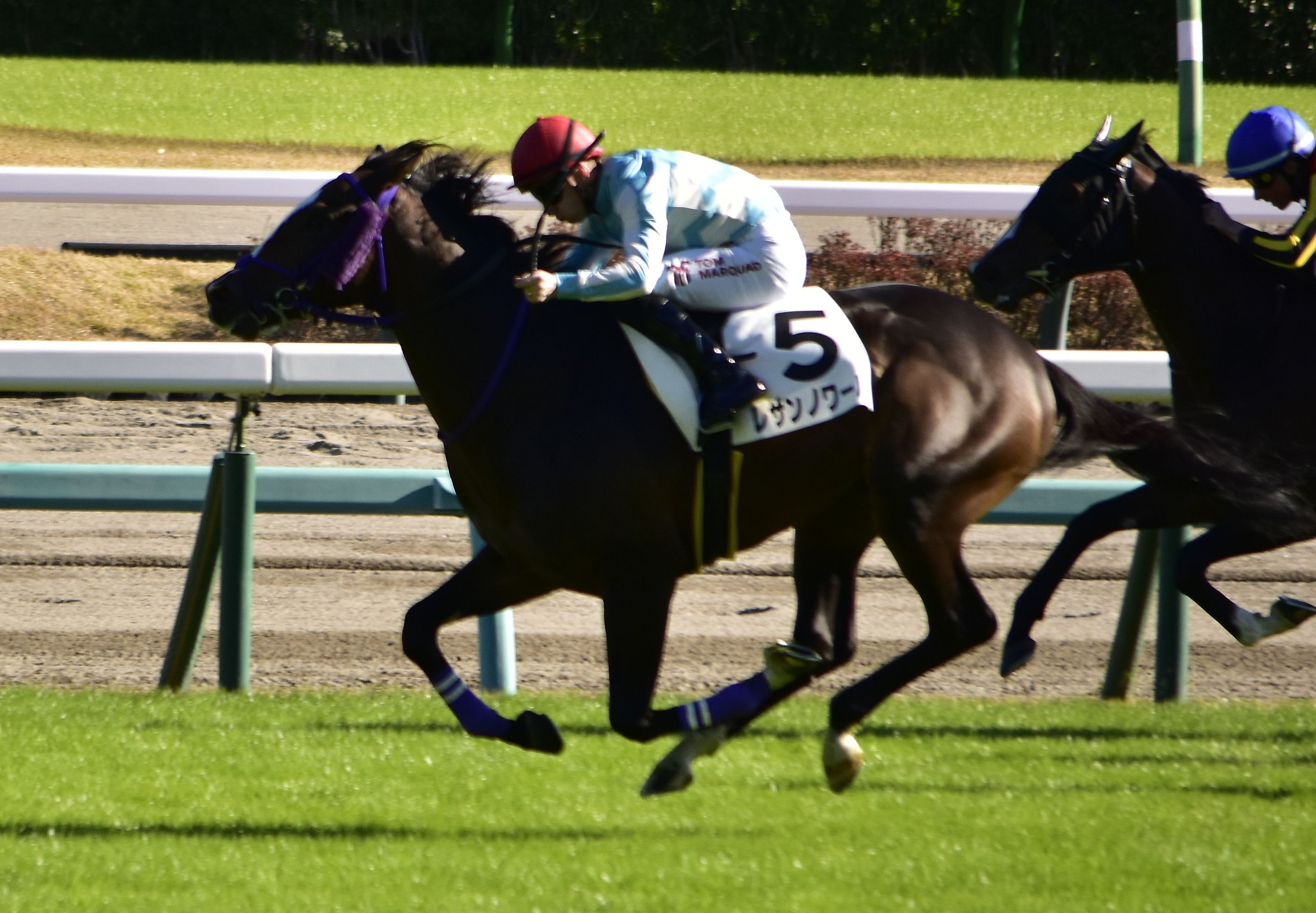 The image shows two jockeys on horses racing down a track, with a fence in the background and trees...