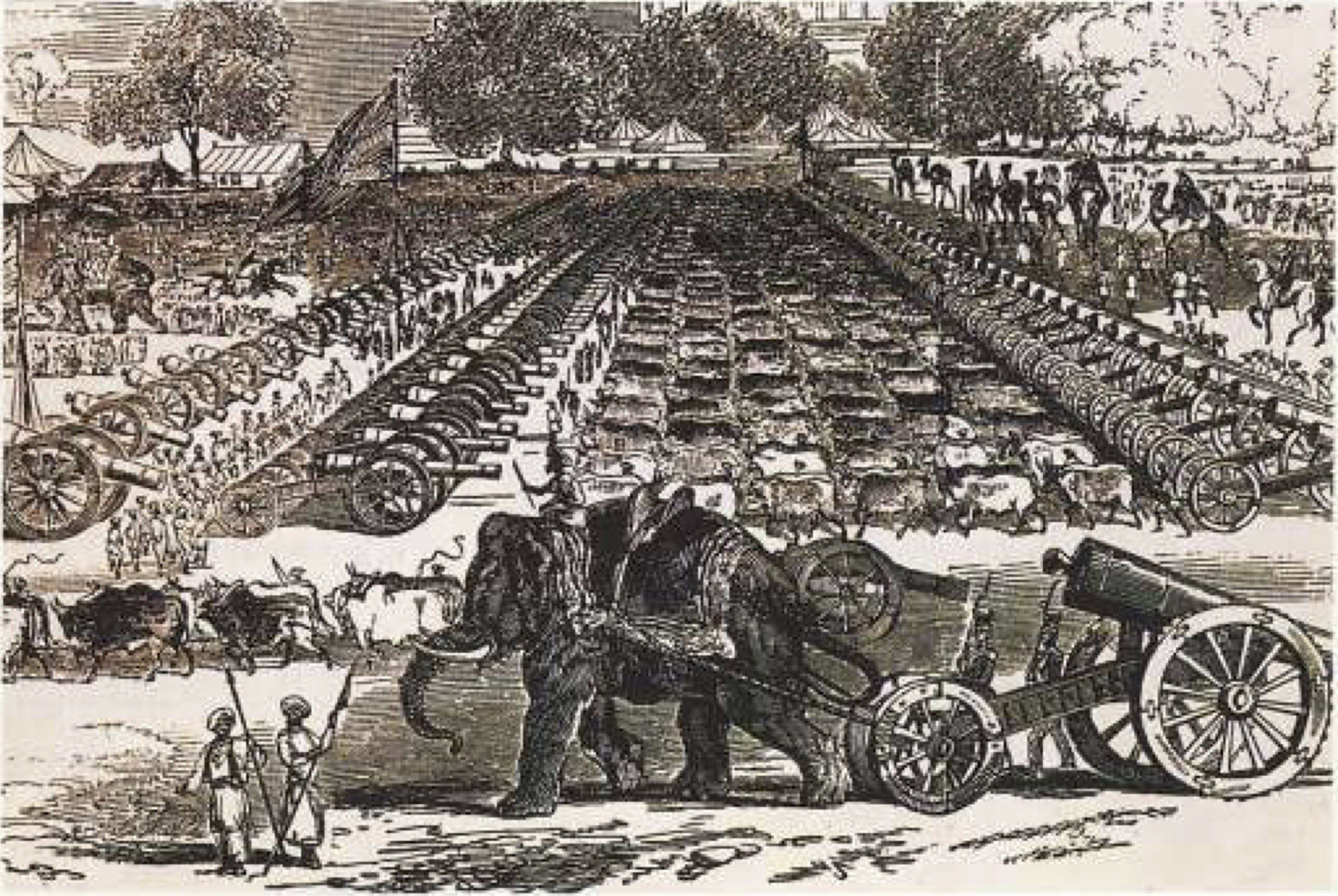 The image shows a black and white drawing of an elephant pulling a cart full of cattle, with...