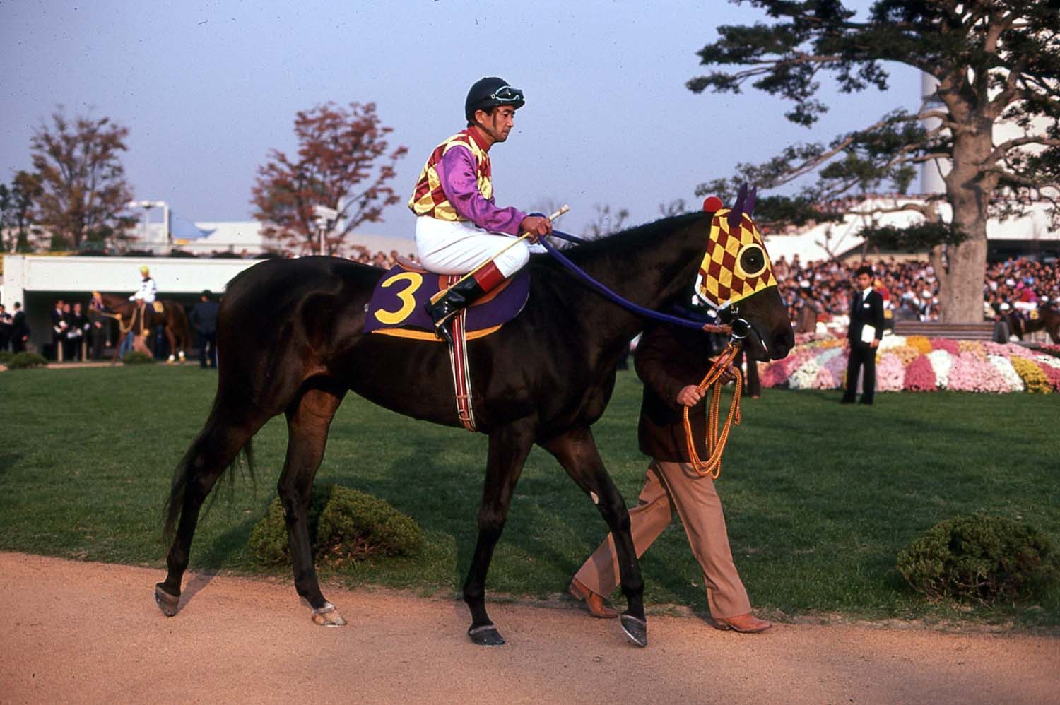 The image shows a jockey riding on the back of a brown horse, wearing a helmet and goggles, with a...