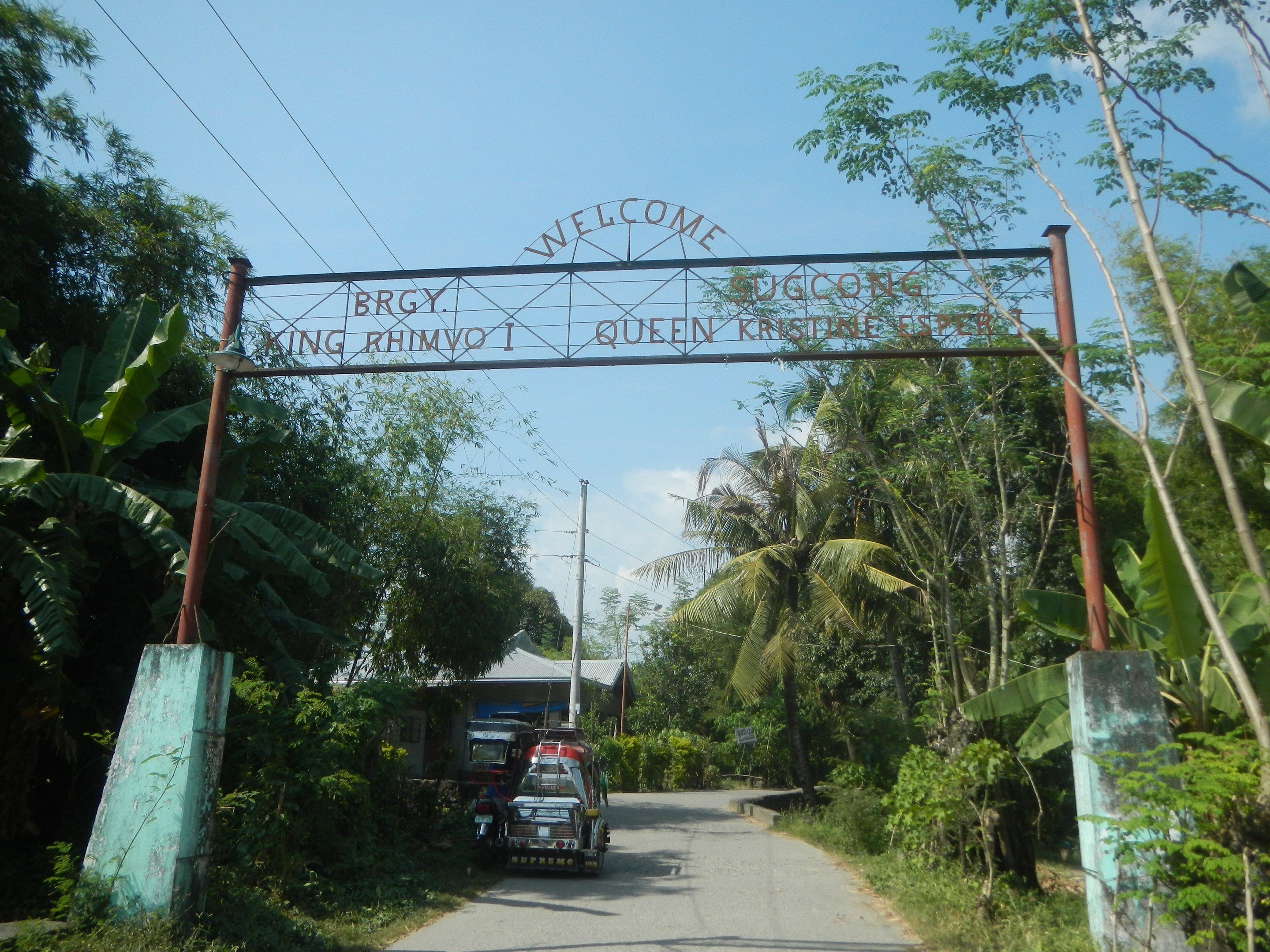 The image shows an arch with text on it, vehicles on the road, trees, plants, grass, poles, wires,...