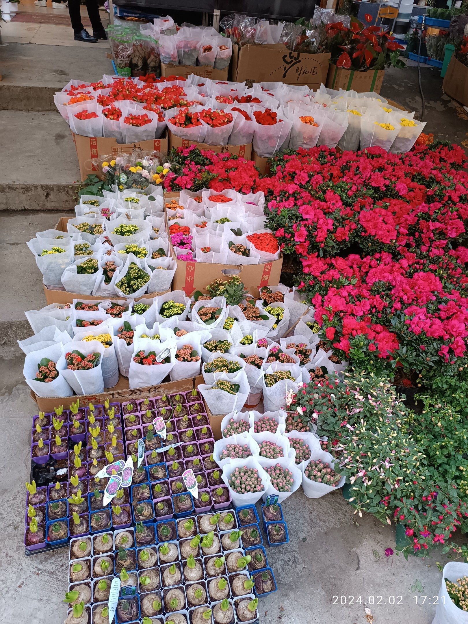 The image shows a bustling flower market in Barcelona, Spain, with a variety of colorful flowers...