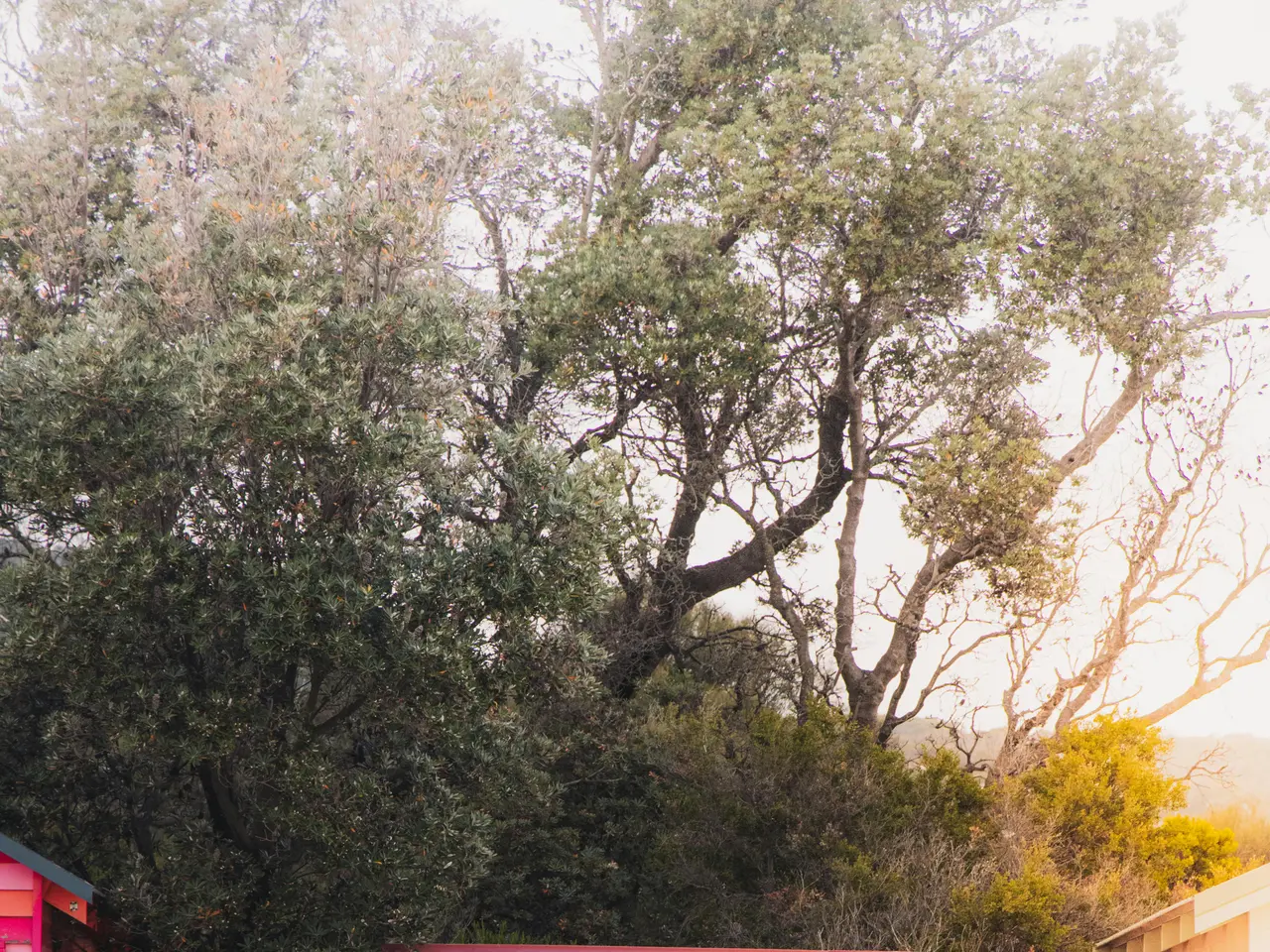 Kicking off the 2025 RunGood Poker Series in a spectacular fashion, Brian Craig takes the lead....