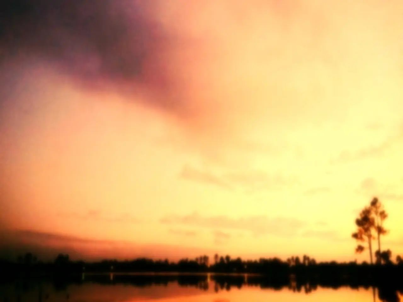 Vuolle initiated with a €6 bet on the button, prompting Den Houting in the small blind to call. In...