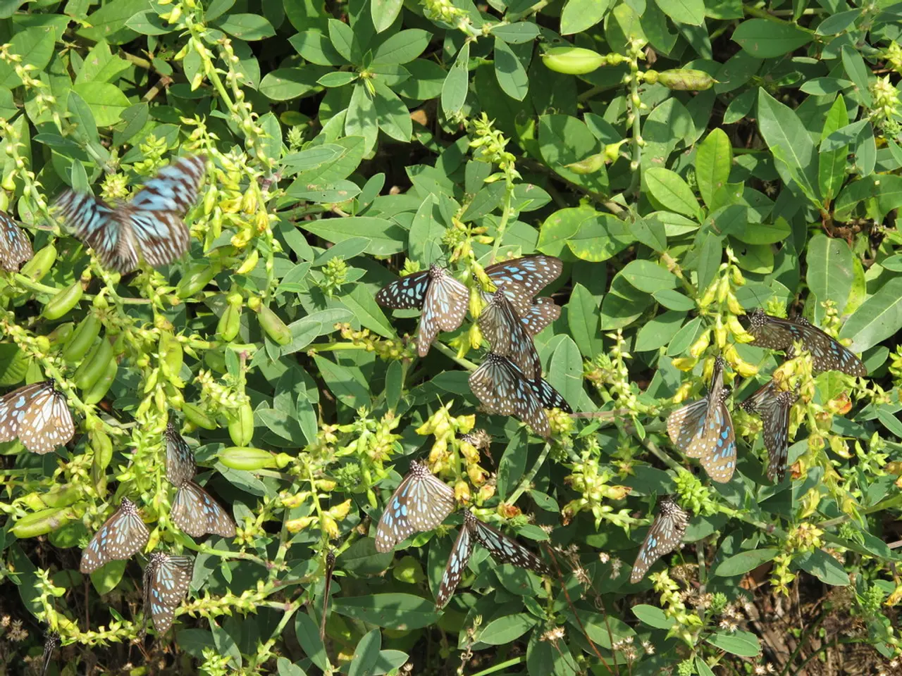 Transform Your Home's Safeguard with Intelligent Pest Management by Hi Tech Termite Control