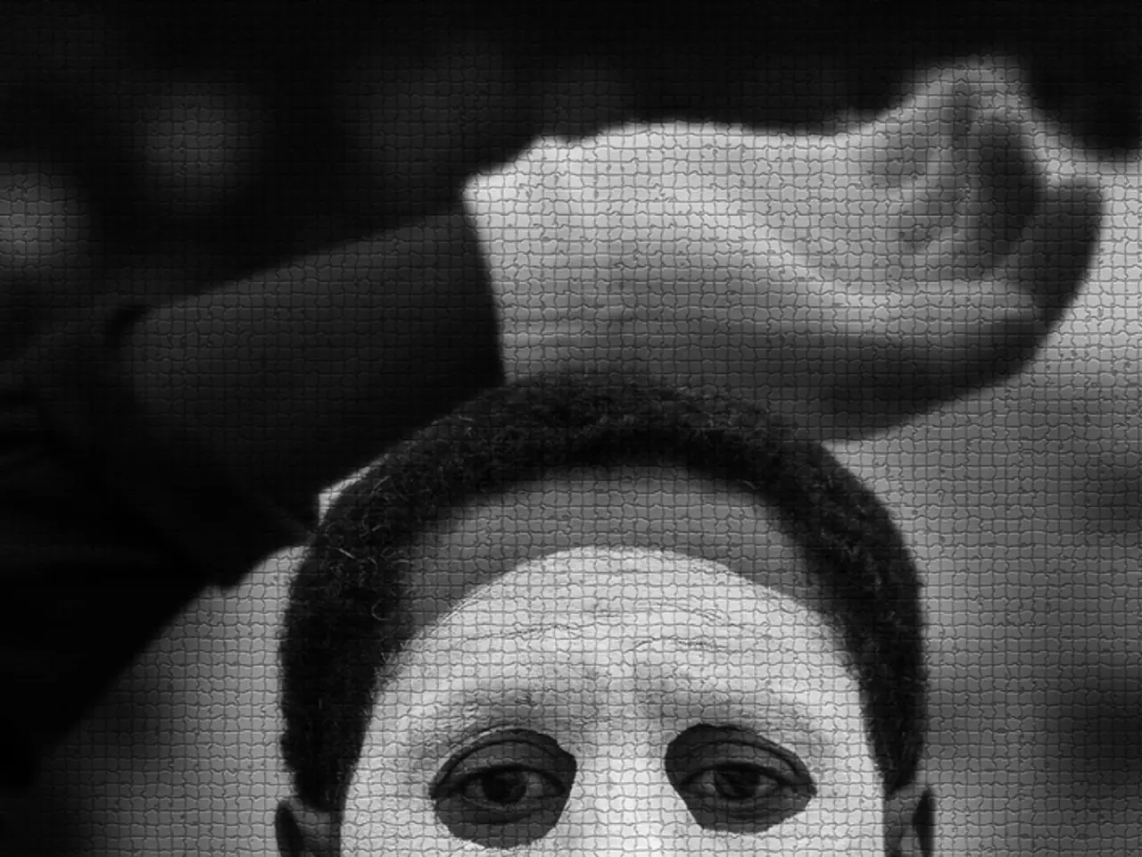 Assailant Escapes Following Electric Shock and Fisticuffs on Elderly Woman in Lancaster County, as...