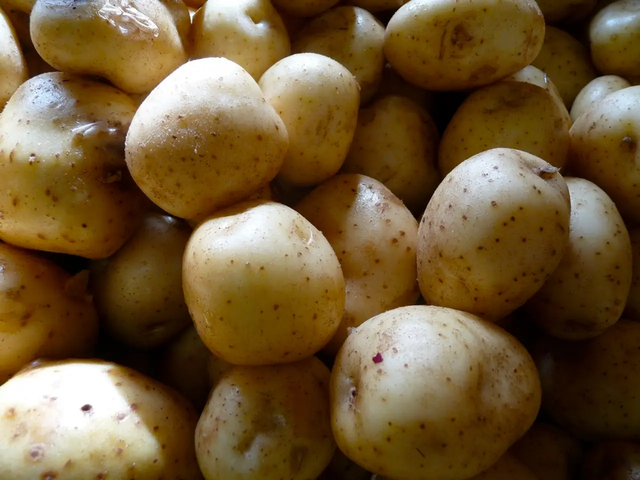 Mastering Perfect Potatoes: 37 Delicious Tips and Tricks You Need to Know
