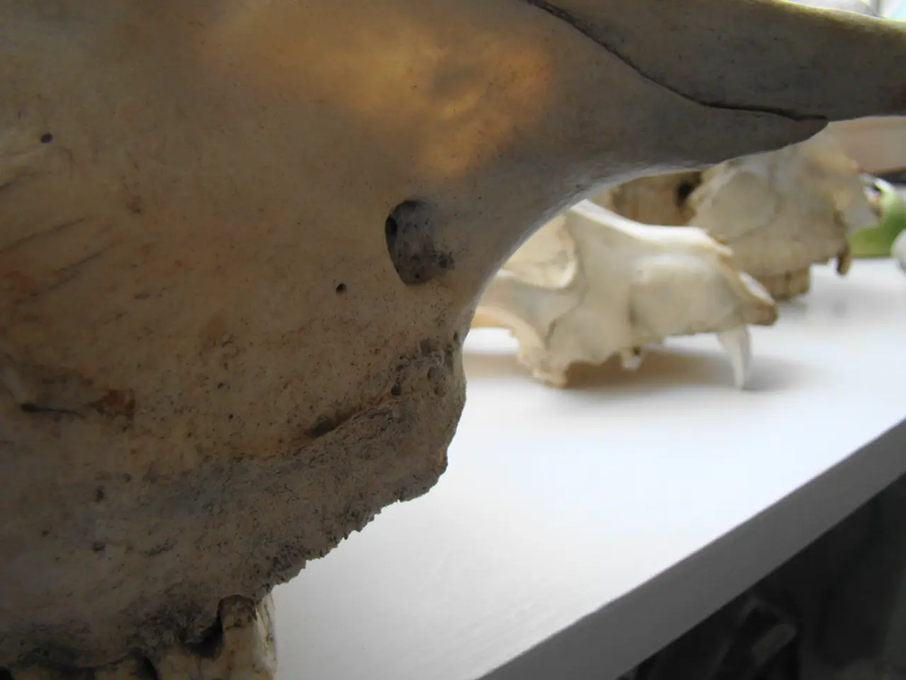 Considers the Essence of Radiation: