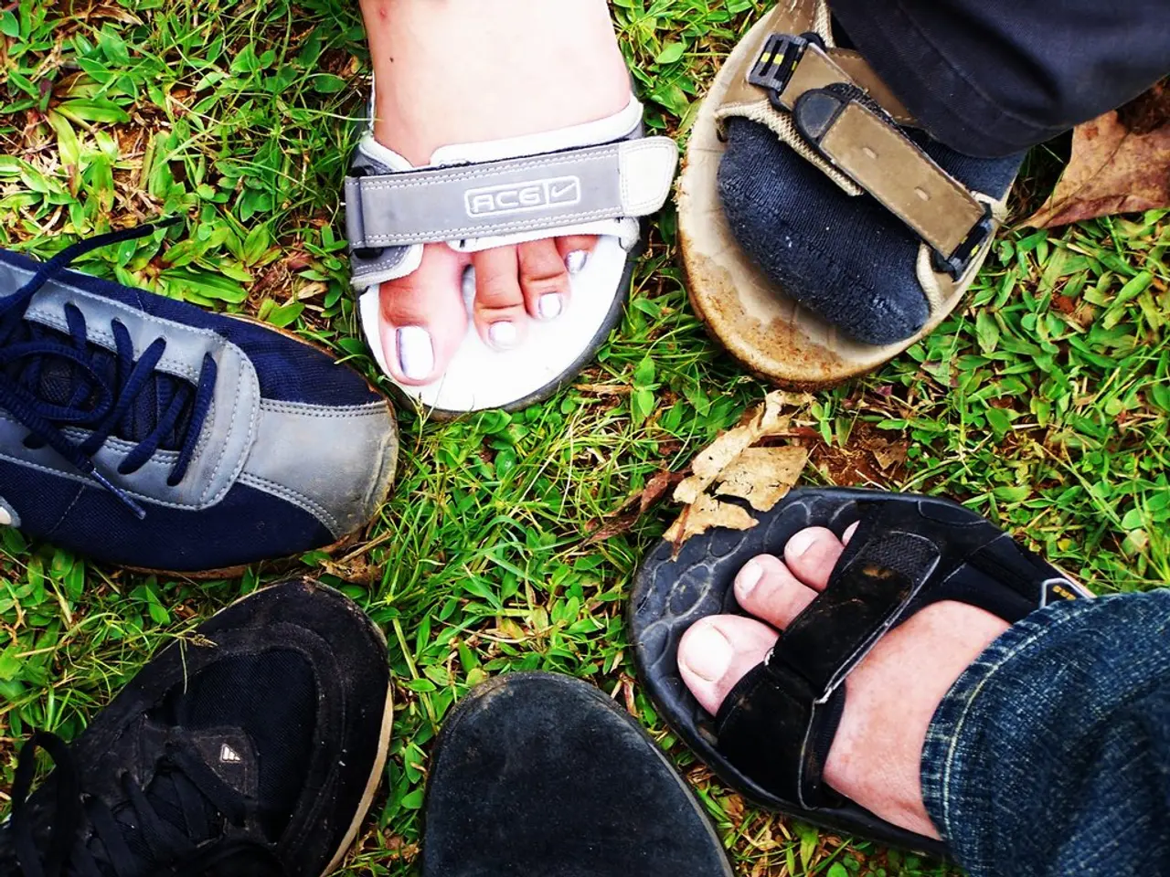 Visitors Endorse: "Barefoot Park Egestorf ranks among the top three in Germany"