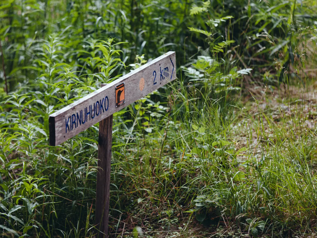 Methane emission reductions from orphan wells result in the initial distribution of carbon offsets...