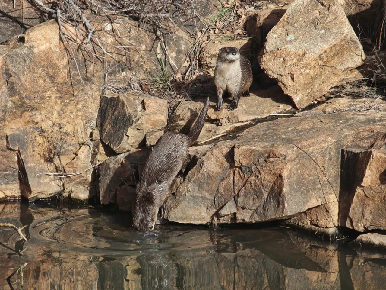 Stunning Kenyan lake recognized among the world's most beautiful, boasting a remarkable variety of...