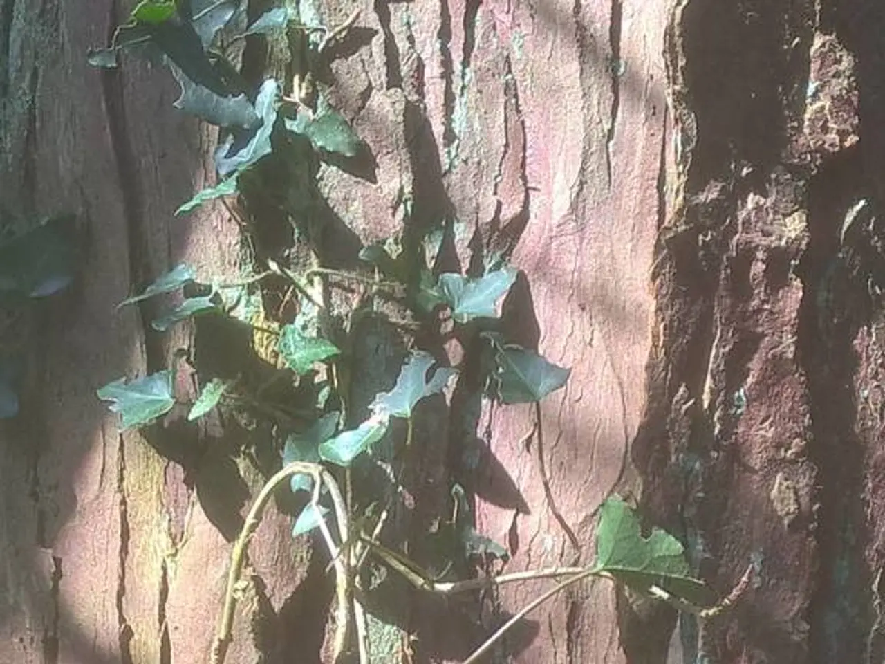 Loud Sound Effects That Set Dogs on Edge, Written by Liz McCalley, DVM, CCRT, and Reviewed by...