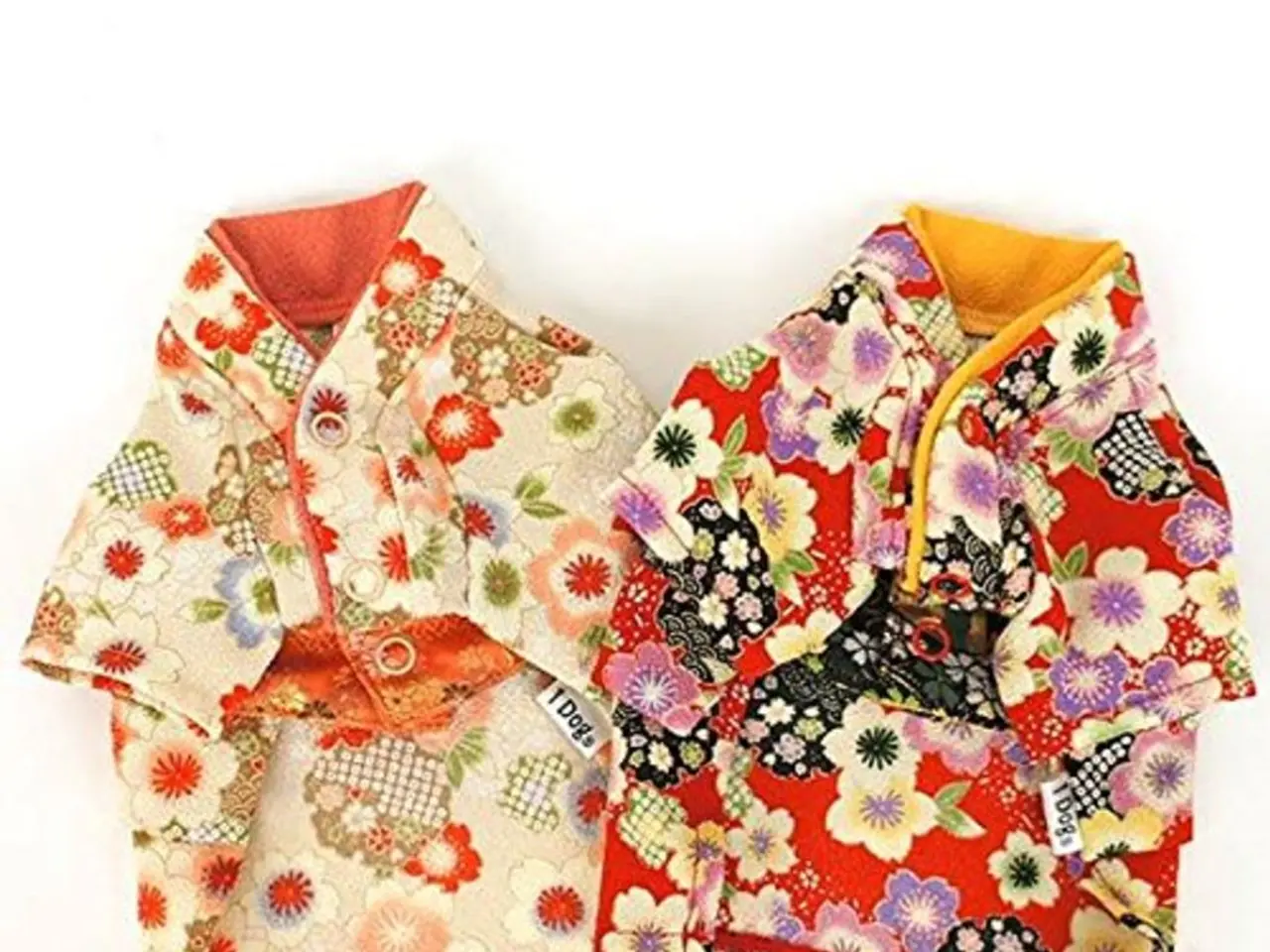 Selena Gomez shares images from her bachelorette celebration in Cabo San Lucas!