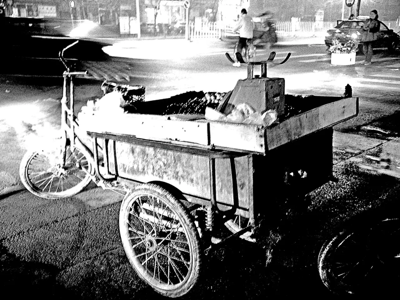 Wheelchair gets stolen during a ride in rickshaw in Baden-Baden