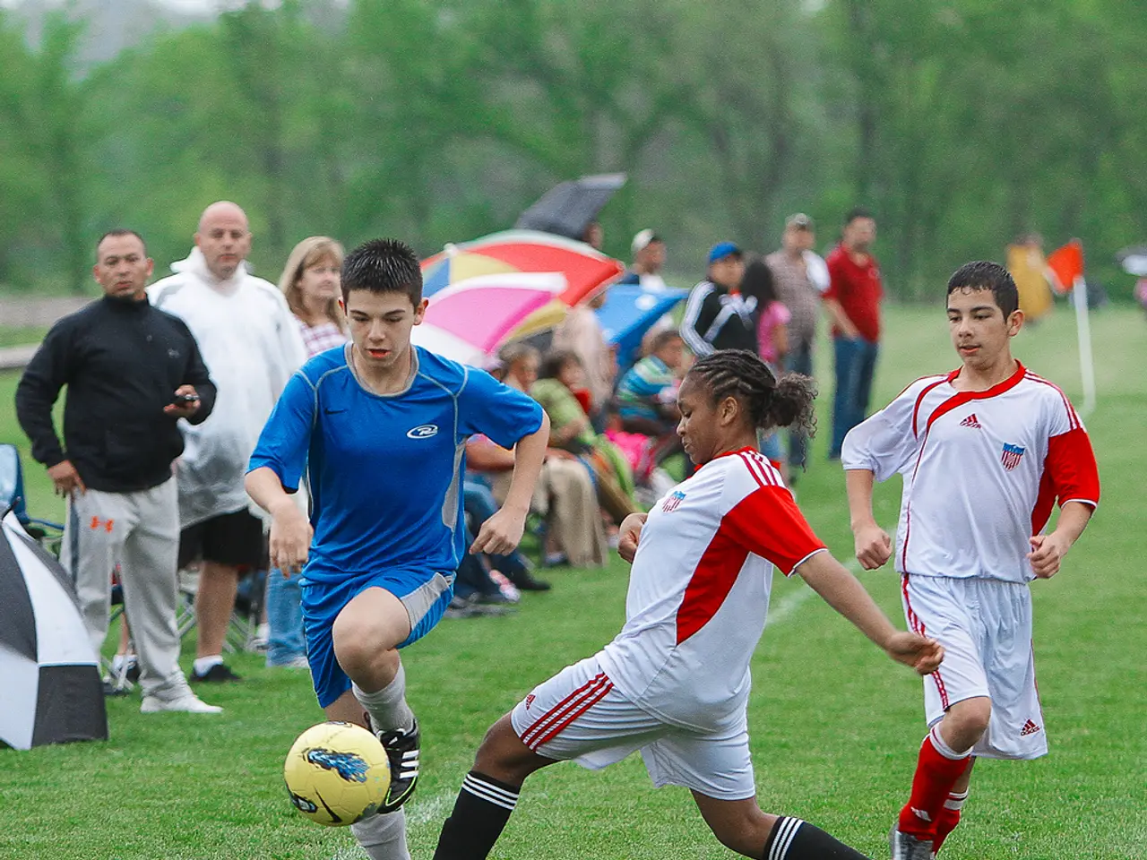 Semi-final matchup in the ELF's dream: