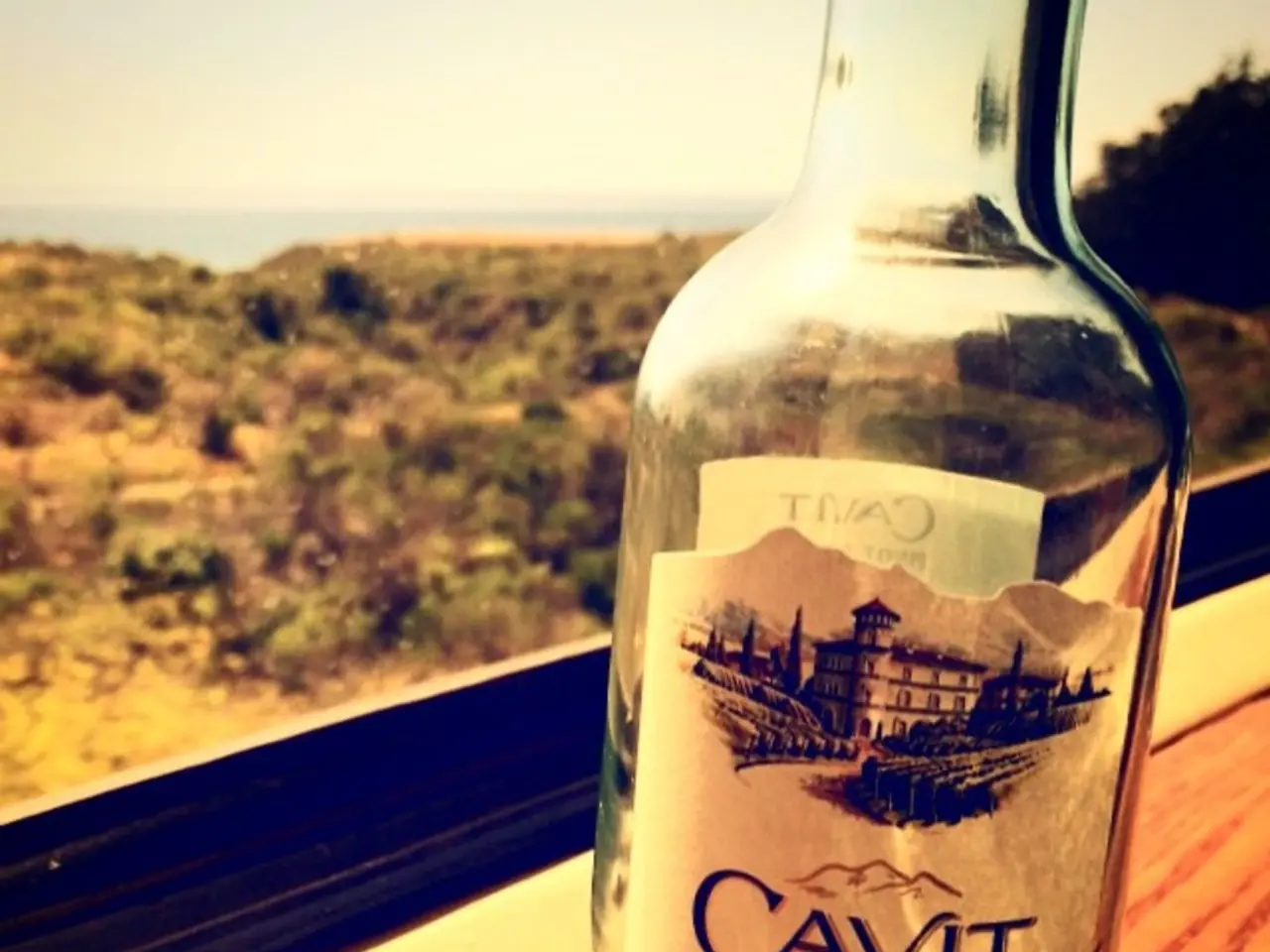 Cultivating American Ginseng in Ohio: A Beginner's Guide