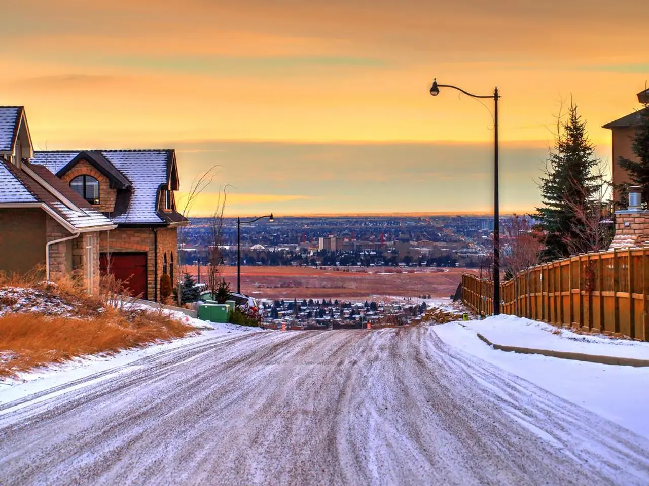 In this image at the bottom, there are plants, grass, road and ice. On the right there are trees,...
