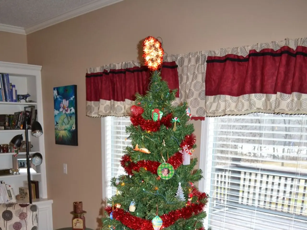 A Christmas tree. This are windows with curtains. This is a rack with books. This is a light with...