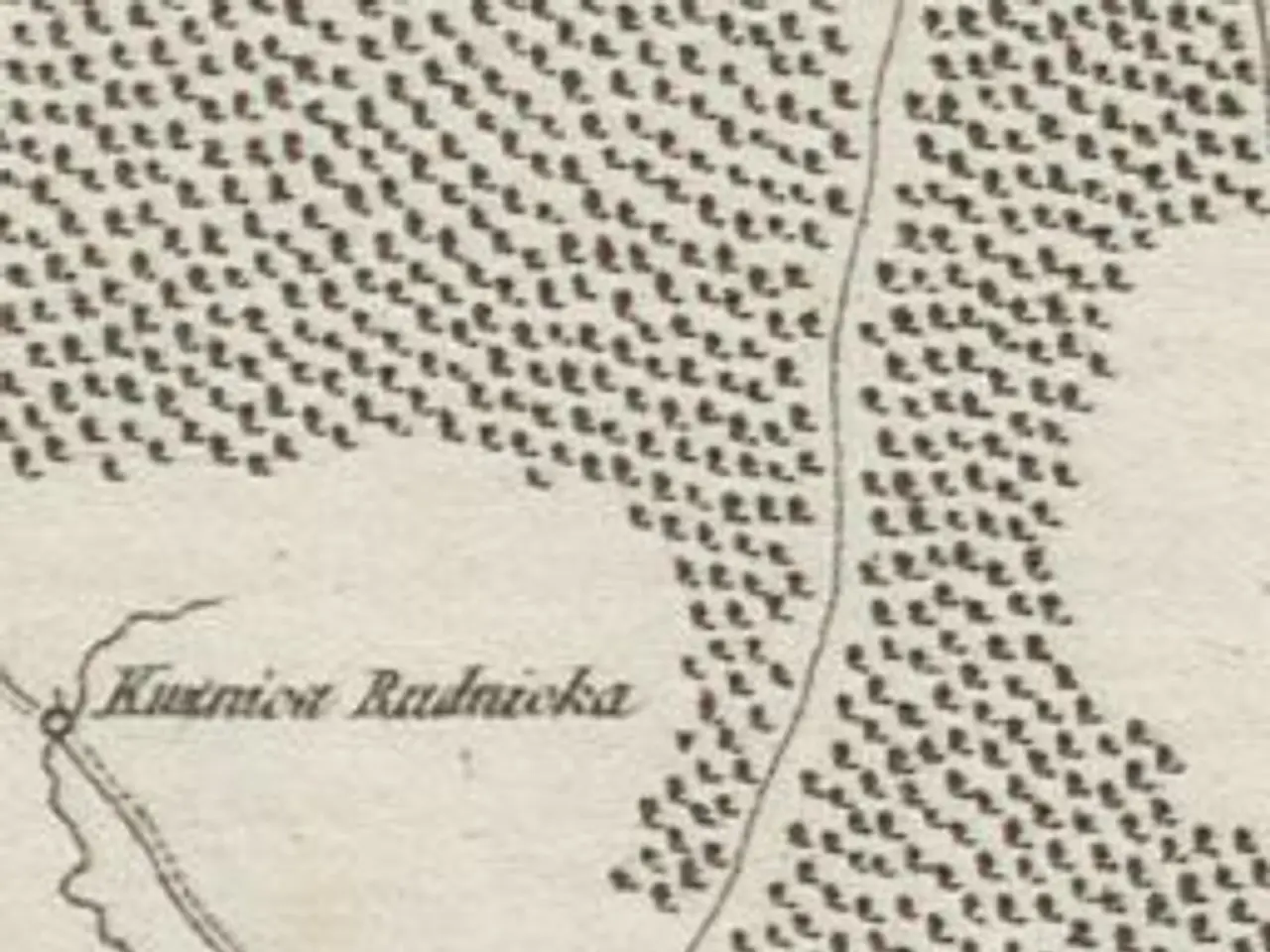 The image shows an old map of the city of Kuznetsov, Russia, with text written on it. The map is...