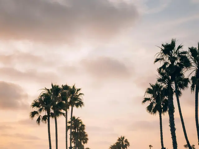 Game Releases: Jackpots, Jokers, and Gladiators are the Focal Points this Week