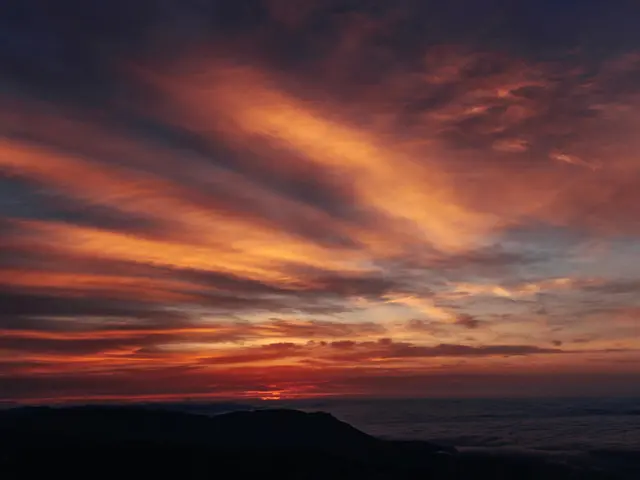 Successful Entrepreneur Leveraged Poker Winnings to Expand a Multimillion-Dollar Venture