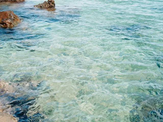 Significant Amplification of Player Experience at Poker Dream 16 Jeju via a Significant Guaranteed...