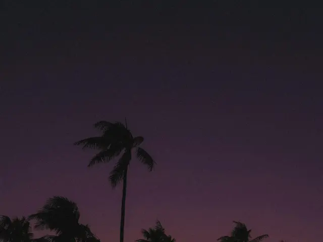 Prague's 57 districts given authorization to control gambling in the upcoming future.