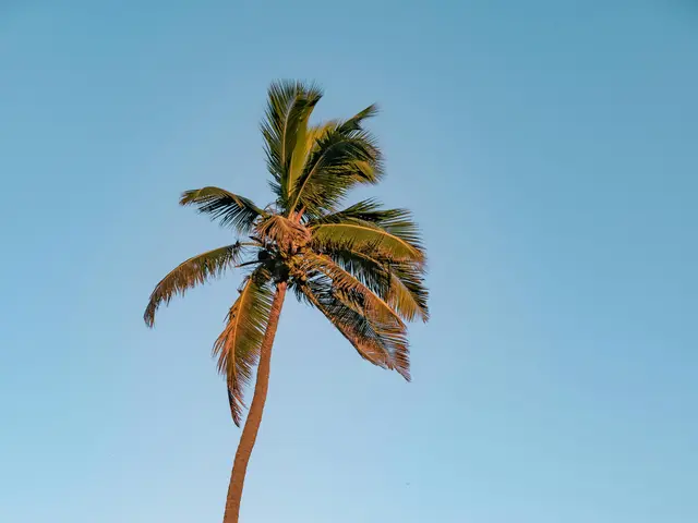 Ancient Civilizations-Themed NetEnt Slot, "Lost Relics," Offers a 96.3% RTP with Medium-High...