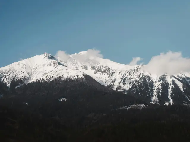 Take part in Adda52's Big Whale, WAR, and Mystery Bounty competitions for the chance to snag prizes...