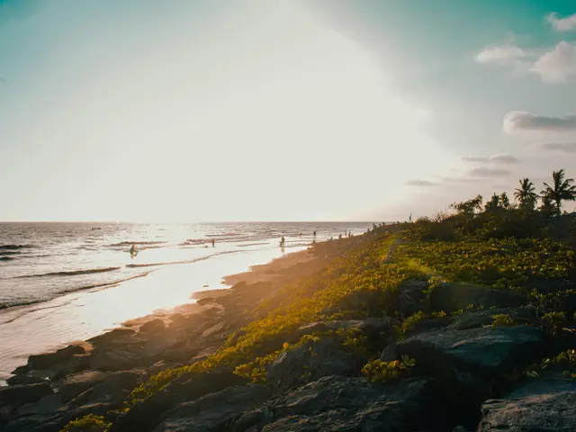 Swede's Top Affiliate Site, Casinobonusar.nu, Compares Generous Welcome Bonuses from Authorized...