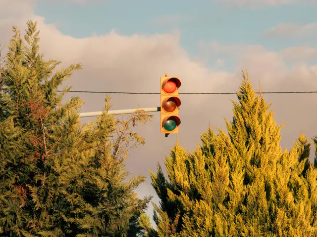 prepareyourself, gather your poker demeanor—possibly some shades—and join us in mastering poker...