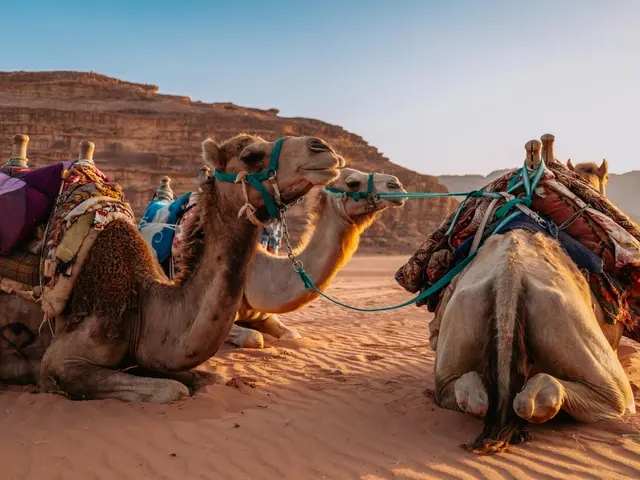 Globally, individuals flock to Las Vegas drawn by its opulence, vivacity, yet primarily attracted...