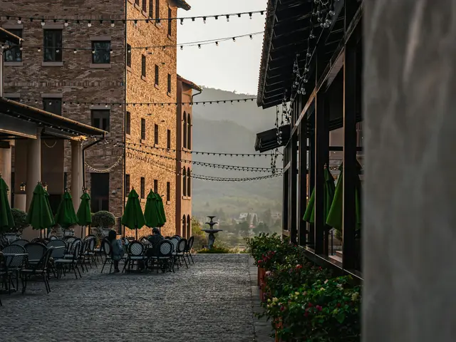 Austrian Gamer Seeks to Recoup Gambling Losses from European Central Bank if Necessary