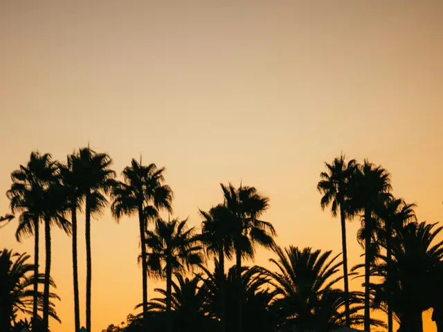 Expansion plans for casinos in New York center on alluring Asian American gamblers, which could...