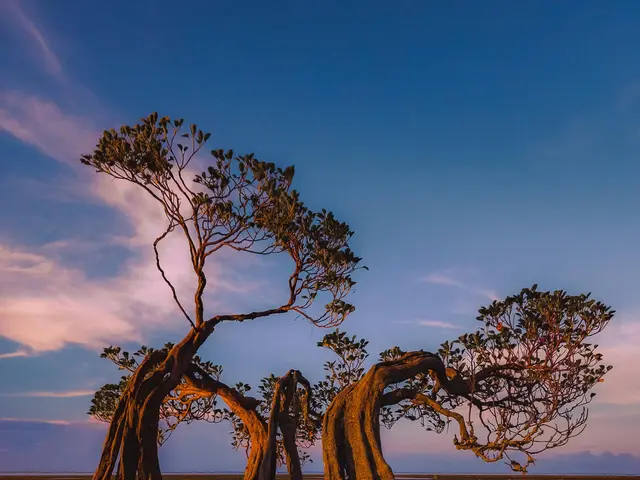 BetMGM clinched the title of Gambling.com's Annual Online Casino of the Year, declared in a Monday...