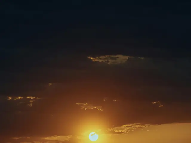 Unveil the enchantment of Habanero's Magic Oak: a high-risk slot, offering cluster pays,...