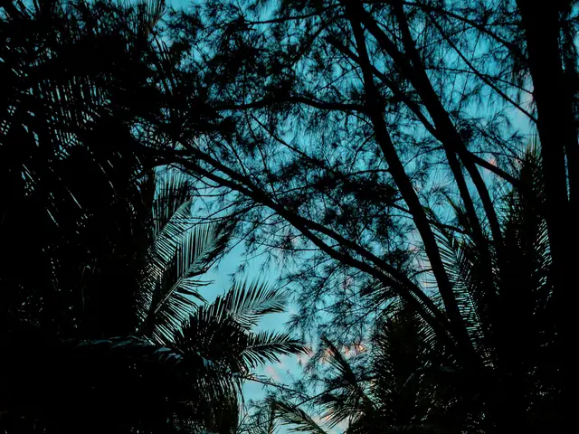 Weekly lottery draws occur on Wednesdays and Saturdays, determining the winning numbers.