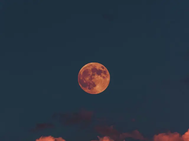 Big blind player Bash Ramahi made a high bet of 83,500 after another player, Saleh Abouelkheir,...