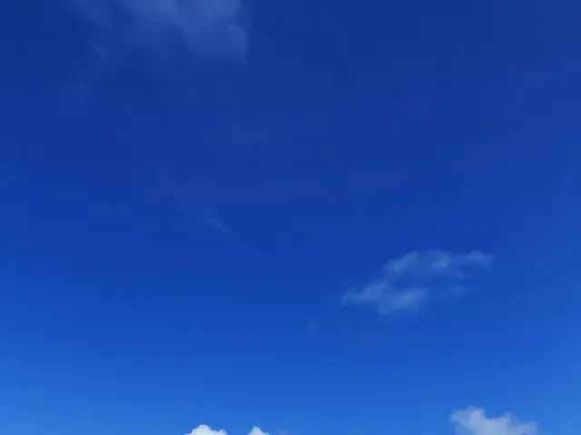 If one is a devotee of astrology, they should be aware of their zodiac-related bloom and feature it...